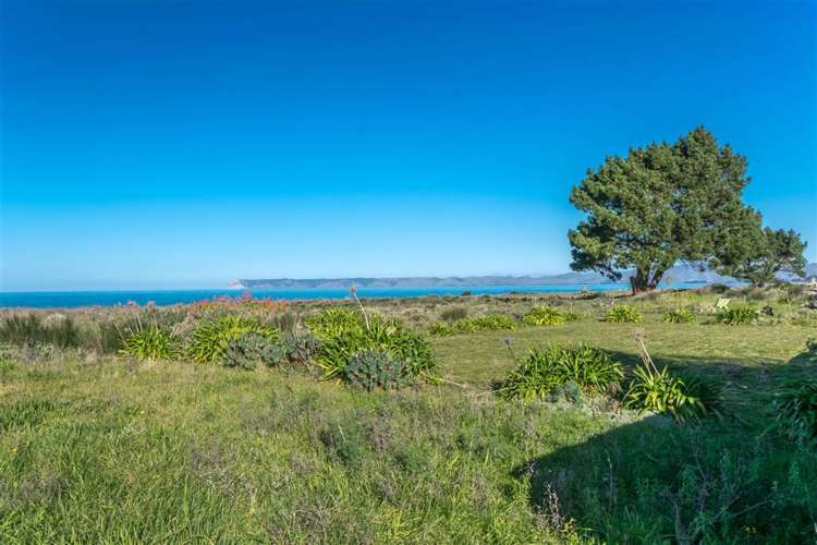 202 Rarangi Beach Road Rarangi_16