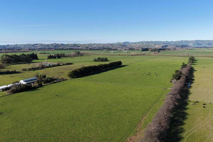 326 Cornwall Road East Taratahi_10