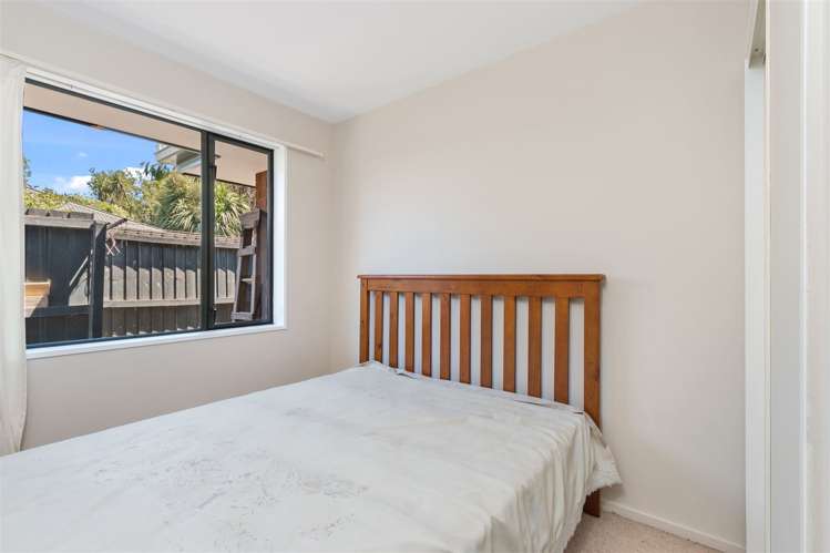 12 Pony Lane Spreydon_8