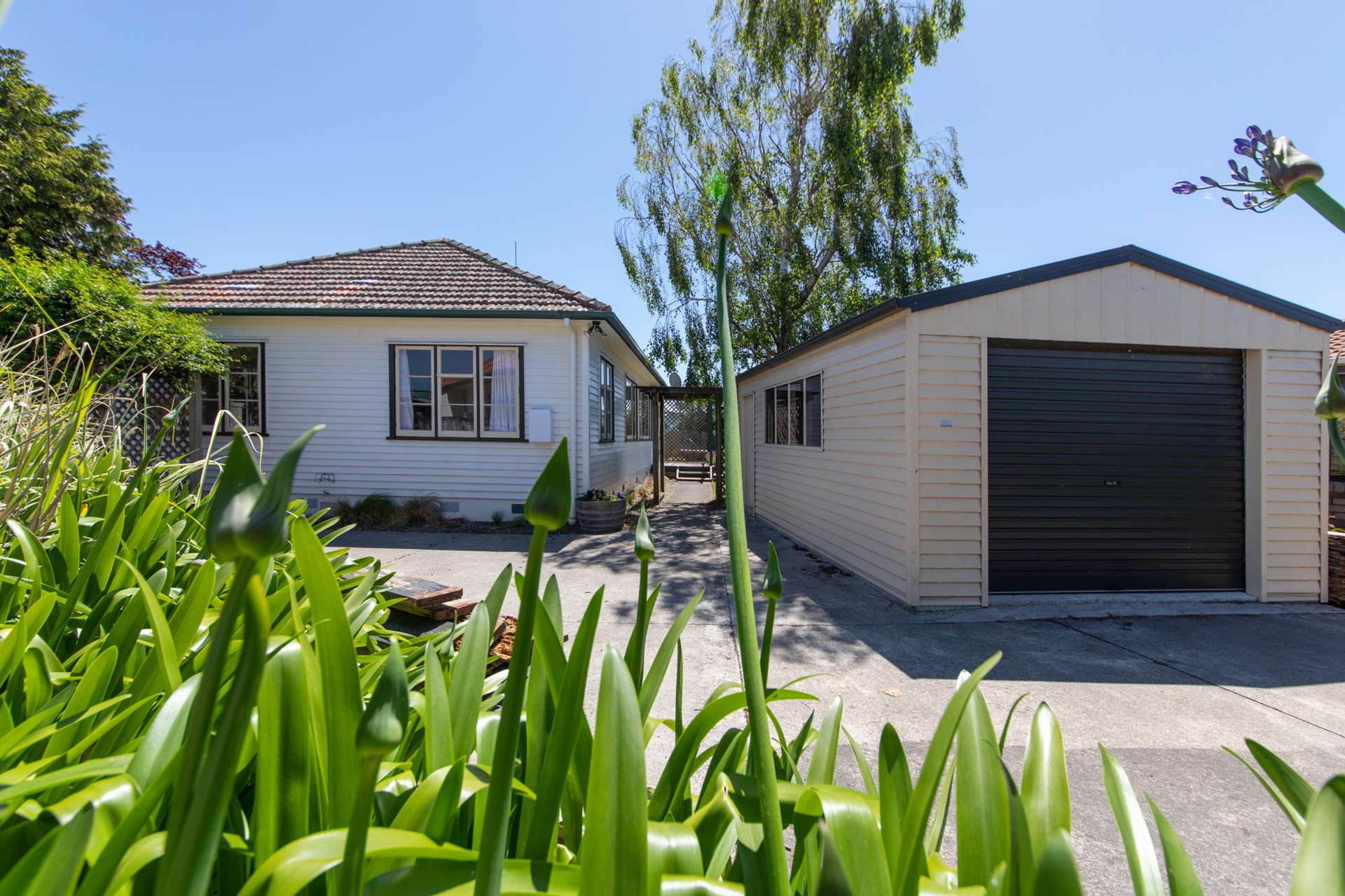 21a Karamu Avenue Takaro_0