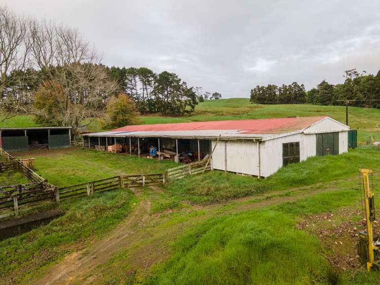 401 Waikaretu Valley Road Glen Murray_7