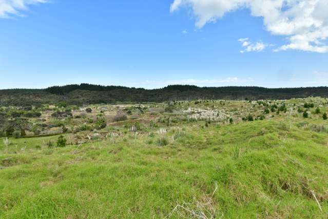 Lot 2/DP170782 Wilson Road South Head_3