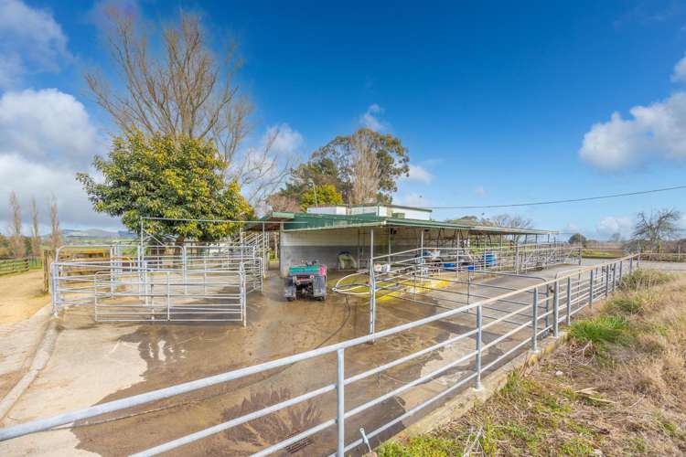 275 St Leger Rd Kihikihi_21
