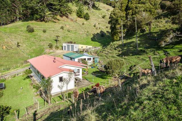 550 Otara Road Opotiki Coastal_2