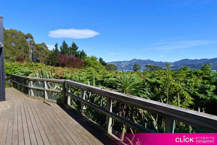 16 Treetop Drive Portobello_0