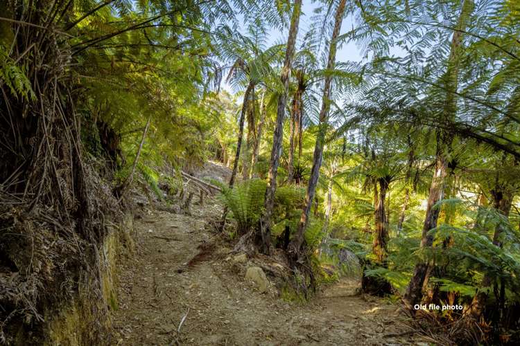 Lot 33 Fence Bay Onahau Bay_11