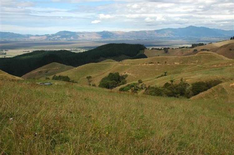 Waiti Road Tahuna_18