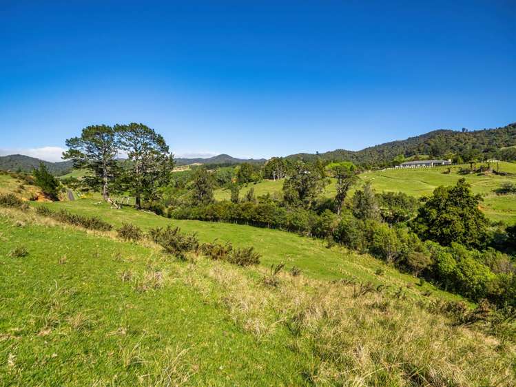 383 Busby Road Katikati_34