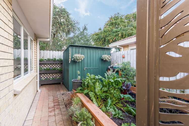 29c Riversdale Road Avondale_13