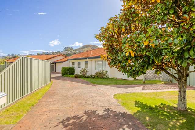 11a Cheval Place Taradale_2