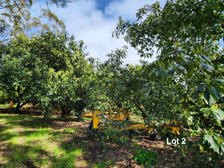 493 Mangakahia Road Maungatapere_12