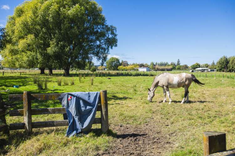 140 Hansen Road Makauri_28