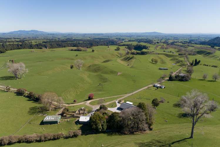 628 Pakaraka Road Kaimai Mamaku Conservation Park_16