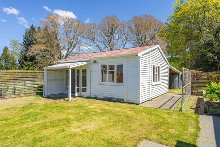 344 Palmer Mill Road Wairakei_16