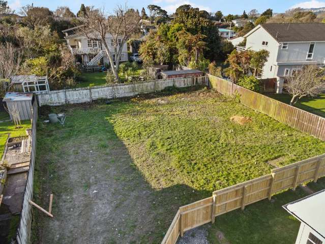 14A Chester Street Levin_1