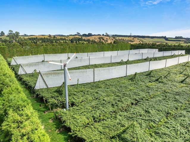 80 Roydon Downs Road Paengaroa_1