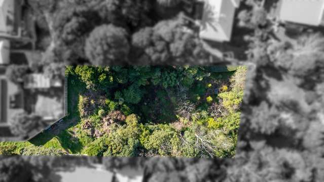 16A Arawhata Street Ranui_1