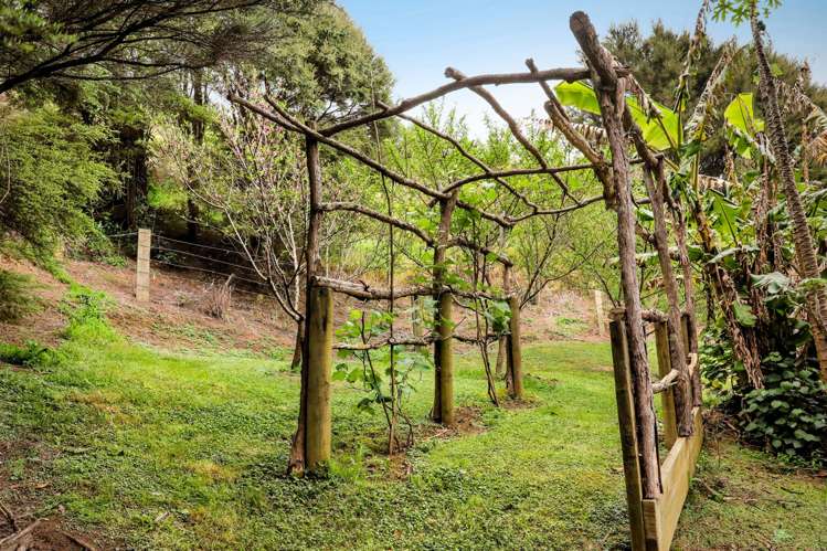 17 Te Mata Drive Te Mata_14