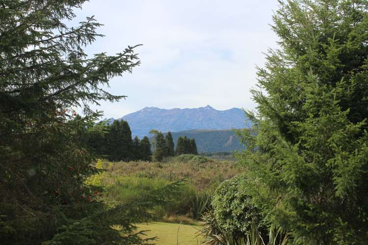 27a Kirk Street National Park_17