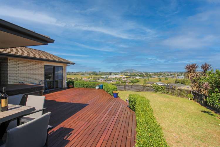 431 Picquet Hill Road Te Awamutu_3