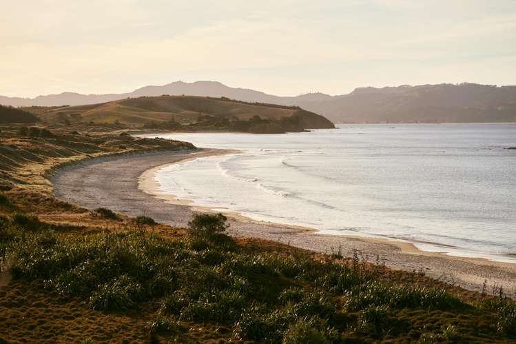 245 Matakana Road Warkworth_13