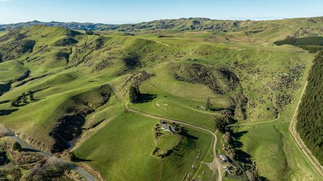 324 Reeces Road Omihi_2