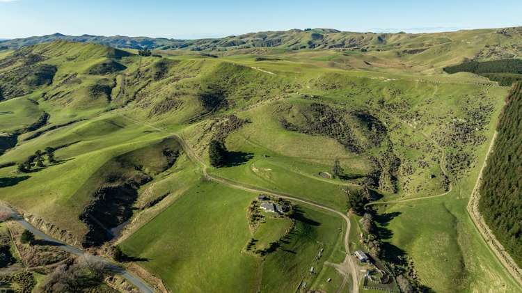 324 Reeces Road Omihi_2