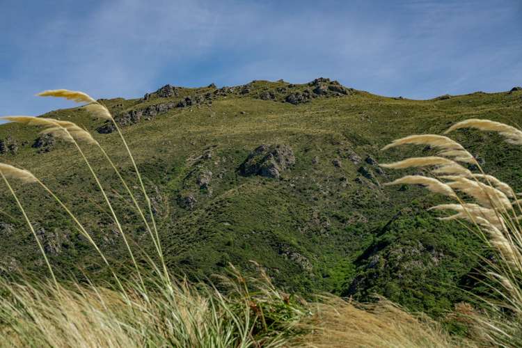 109 Flyer View Lane Kingston_5