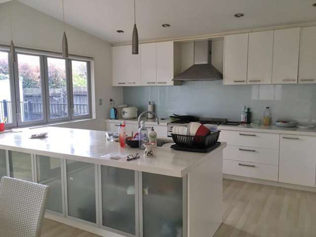 51 Caen Road Panmure_3