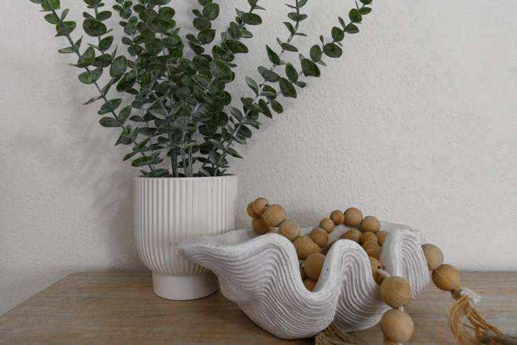 67A Edgecumbe Road Avenues_10