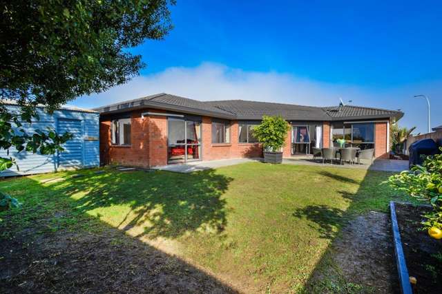 78 Pitt Avenue Clendon Park_2