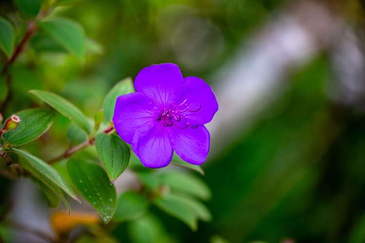 7 Mansel Avenue Hillcrest_32