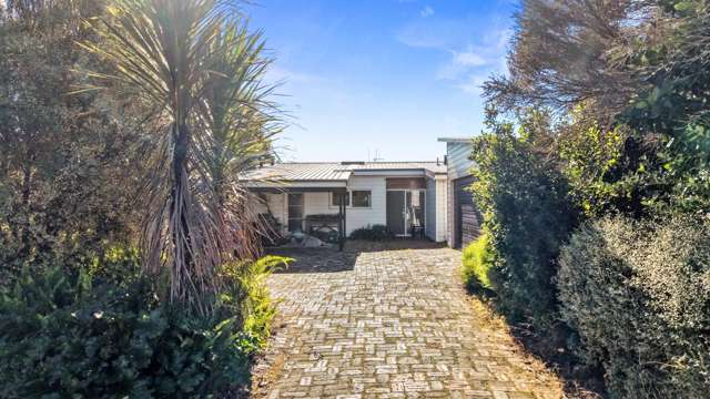 15A Hobson Street Maeroa_2