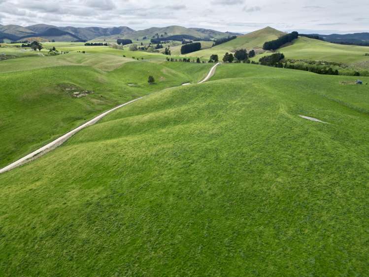 Palmerston-Dunback Road/Switchback Road Palmerston_9