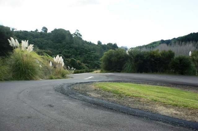 3 Foxglove Drive Maraetotara_1