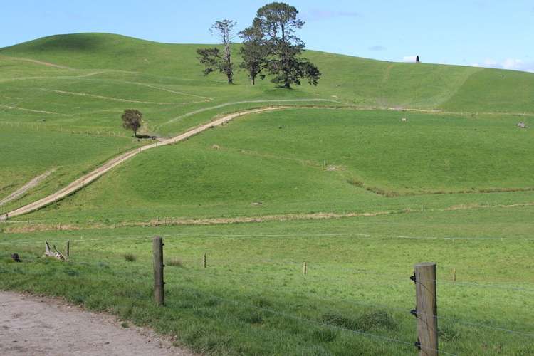 354 Tapuhi Road Hukerenui and Surrounds_1