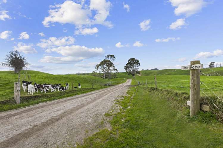 2085a-B Old Taupo Road Putaruru_21