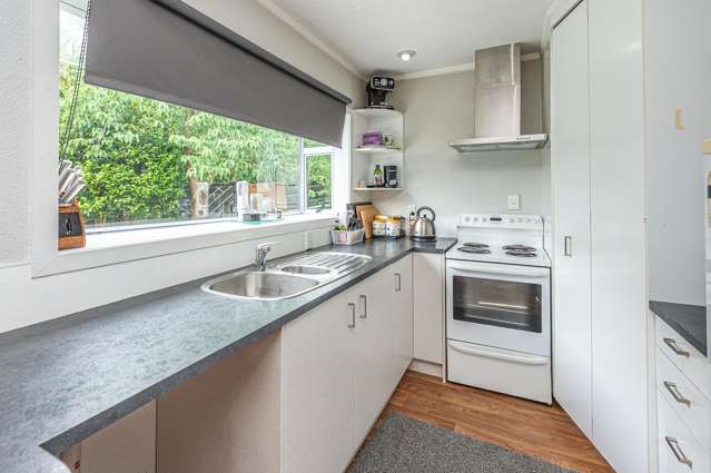 153 Mount View Road Bastia Hill_4