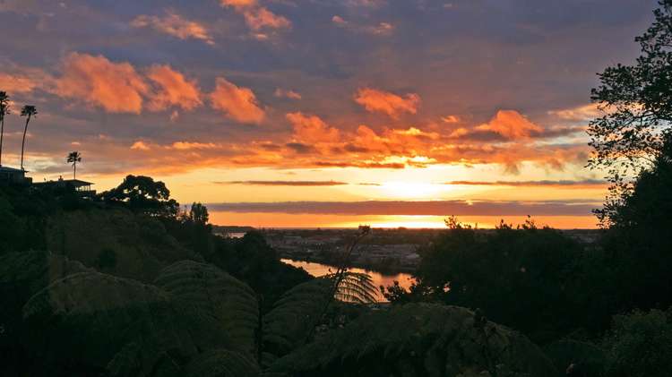 6 Rees Street Durie Hill_8