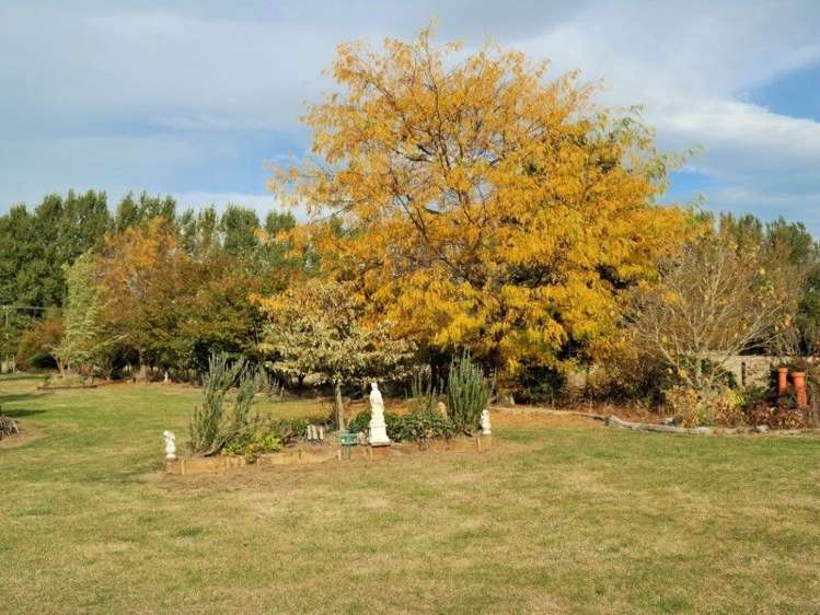 327 Bluff Rangitumau Road Rangitumau_13