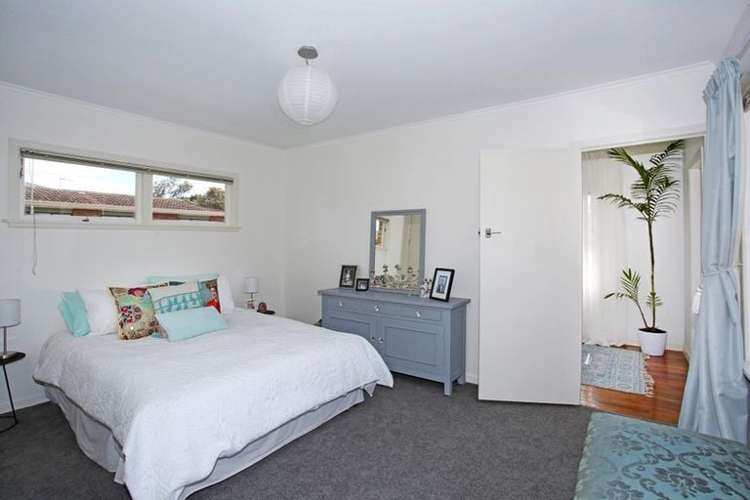 3 Lawrie Avenue Pukekohe_9