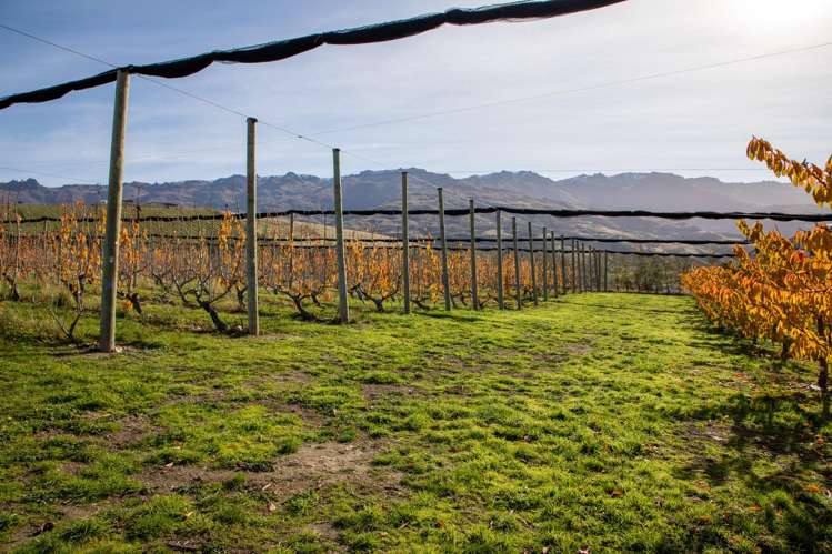 41 Cooper Lane Mount Pisa_6