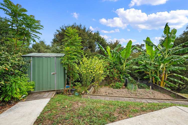 194B Horseshoe Bush Road Dairy Flat_29