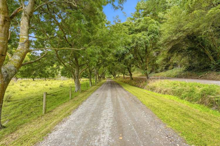 135 Surreydale Road Pahiatua_23