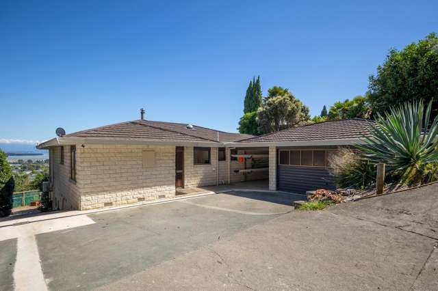 32 View Mount Stoke_3