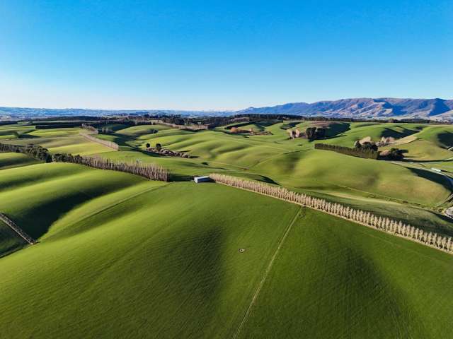 348 Koi Road Waikoikoi_1