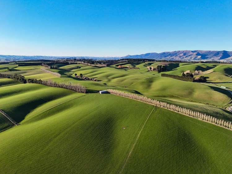 348 Koi Road Waikoikoi_1