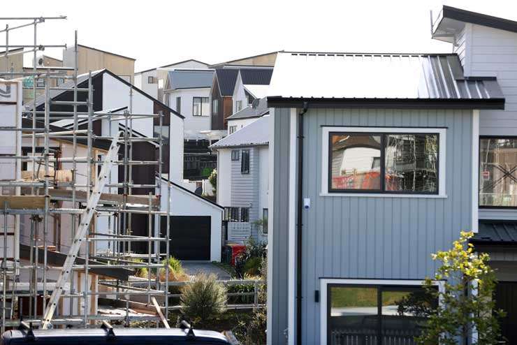 New Zealand houses