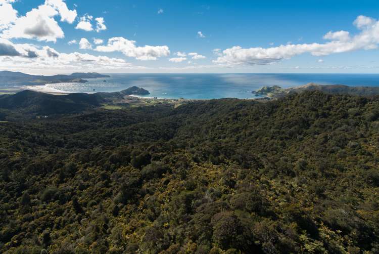 499 Medland Road Great Barrier Island (Aotea Island)_5