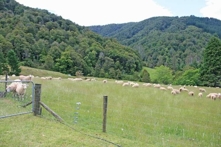 994 Maungatapu Road Rai Valley_9